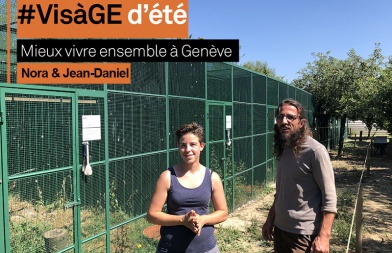 Activité de réinsertion au Centre de réadaptation des rapaces Activité de réinsertion au Centre de réadaptation des rapaces